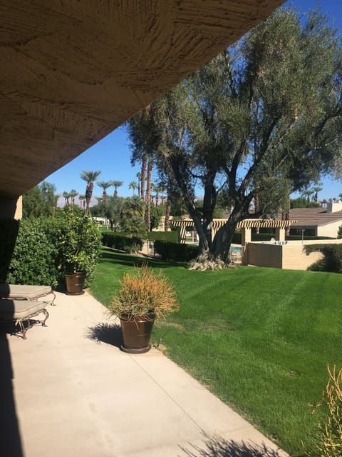 Back patio - steps to pool and jacuzzi