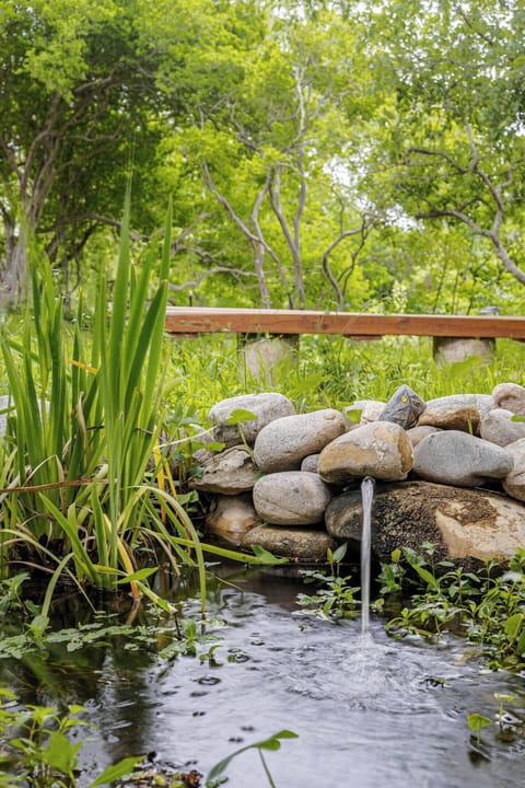 Peaceful pond views create a serene backdrop for your riverside group getaway