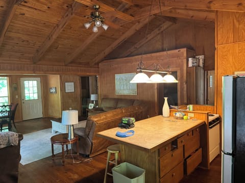 Kitchen and Den area