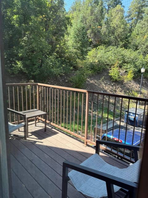 Balcony off living room