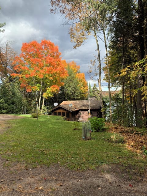 The house from the parking area