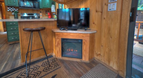 Smart TV and an electric fire place. Log in to your accounts for the TV