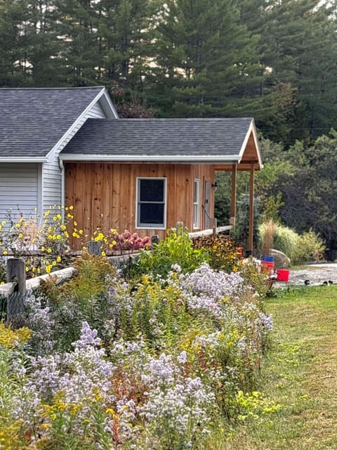 yard near pool