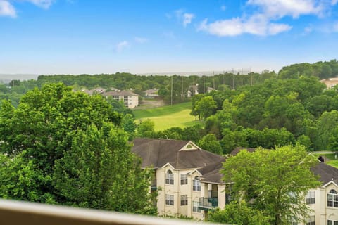 Views from the balcony