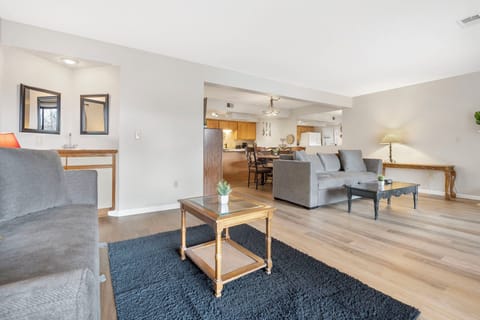 Living and dining area