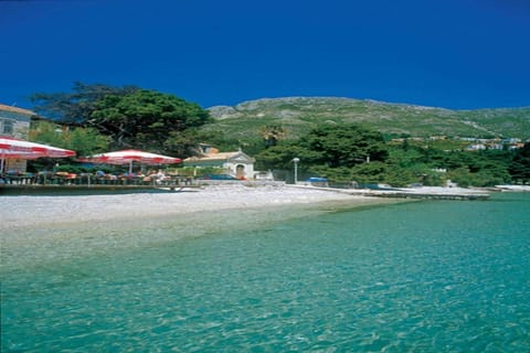 Immediate Surroundings [summer] (<1 km)