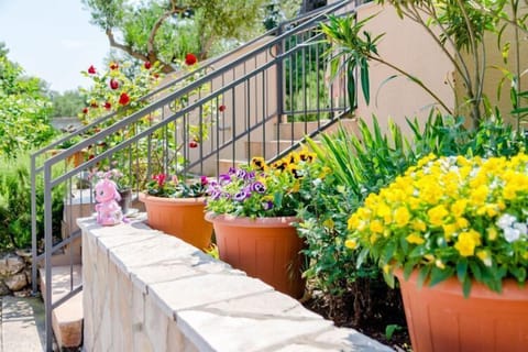 Garden [summer]
