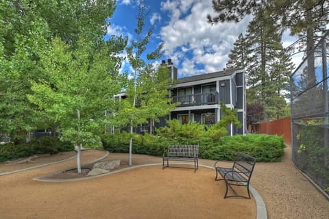 Backyard area, beautiful scenery