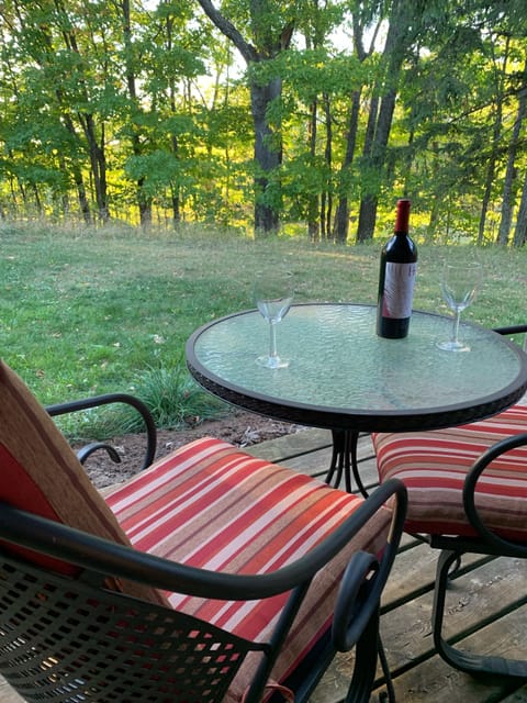 Back Patio with table & chairs