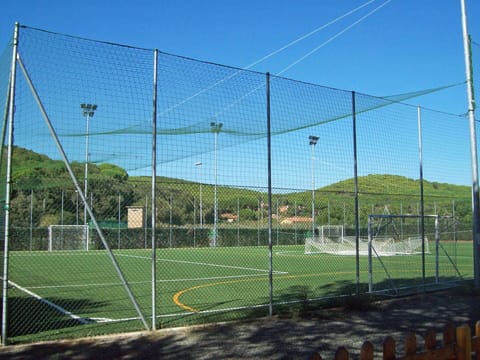 Sky, Plant, Mesh, Fence, Land Lot, Wire Fencing, Grass, Tree, Line