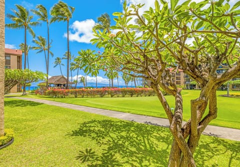 Direct view from your lanai at Papakea K-105 with tropical grounds and partial ocean views