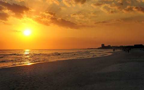 Beach View