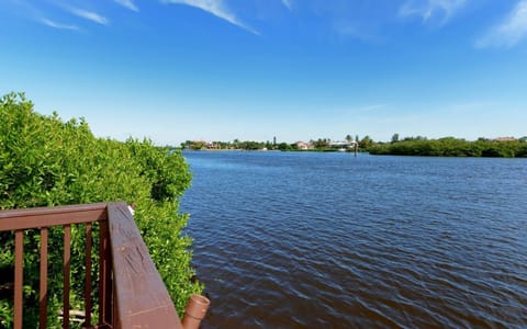 Deck View