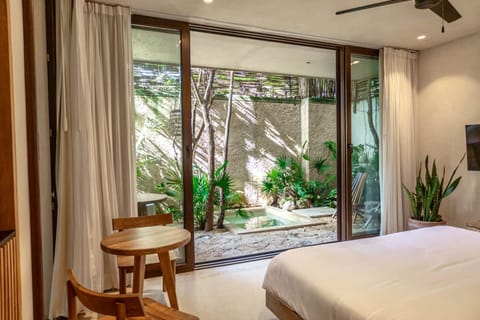 Interior / Vista desde la Habitación