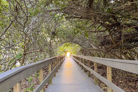 Easy walk to the beach through a scenic treelined path