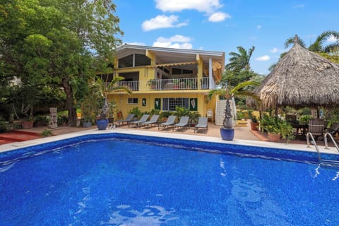 Pool en palapa