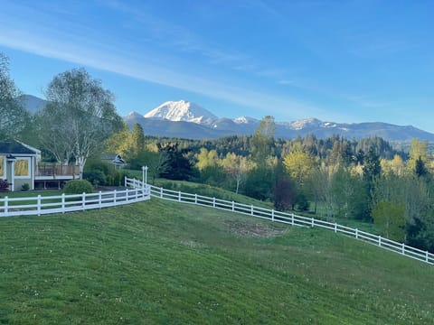 View of Mt. Rainier from deck