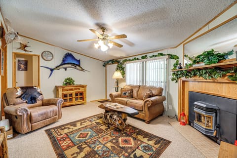 TV, fireplace, books