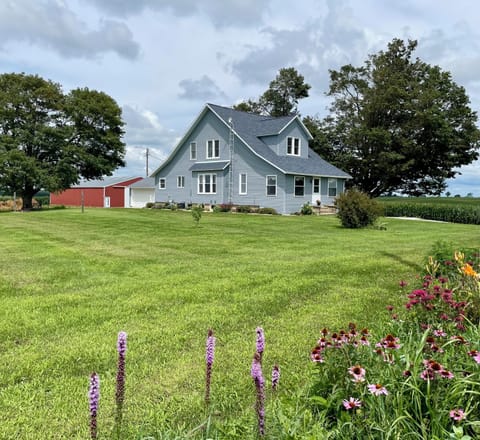 Flowers planted around the property so the pollinators make it their home.