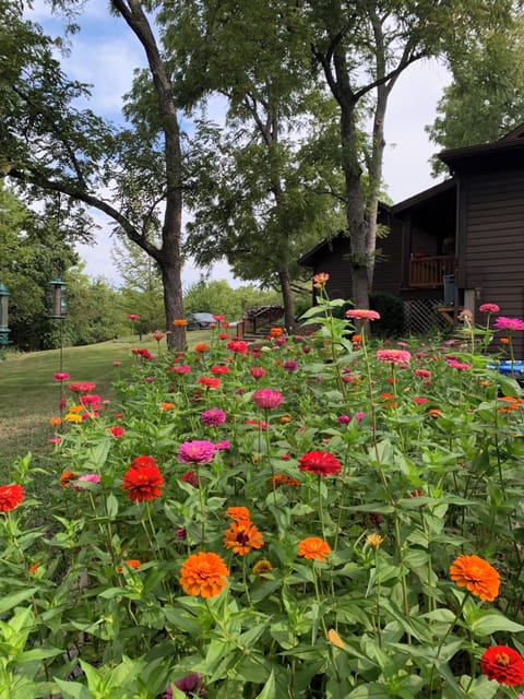 Summer view near your entrance.