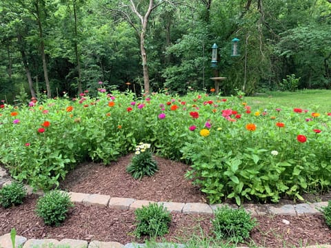 Flowers in Summer Birds Year Round