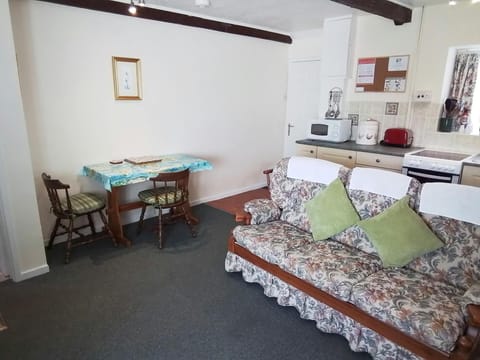 Living and dining area with sofa and table and chairs