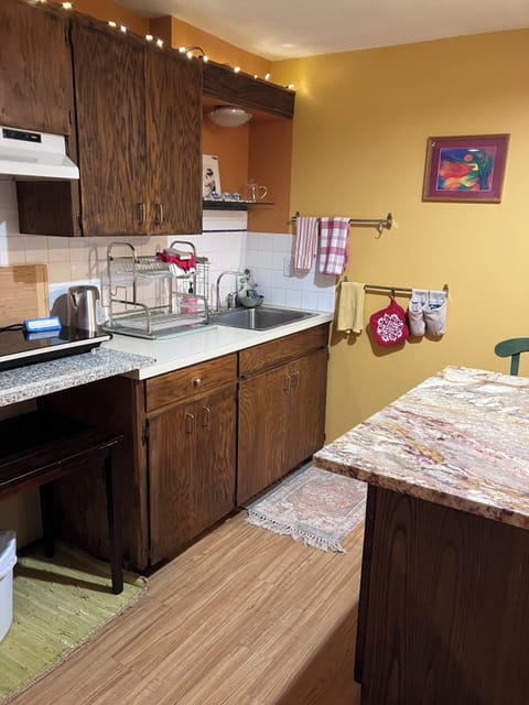 Mid-century kitchen with island with 2 chairs