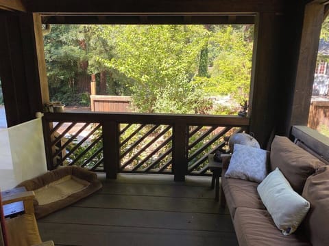 Front Porch - with pet gate