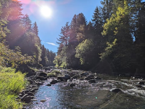 Direct access to the river from the bottom of the hill in our backyard.