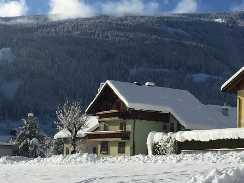 Ferienwohnungen Trattnig - Apartment with balcony Apartment in Carinthia, Austria