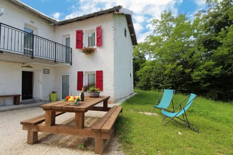 Autumn, Garden, Spring, Summer