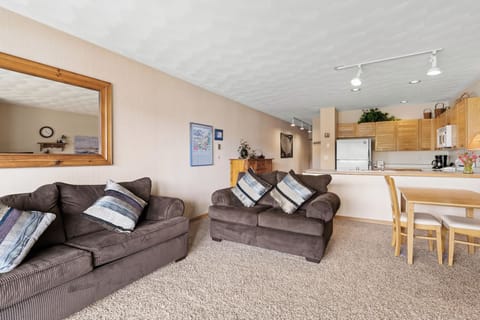 Living room featuring a queen size sleeper sofa, TV, and wood burning fireplace.