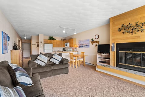 Living room featuring a queen size sleeper sofa, TV, and wood burning fireplace.
