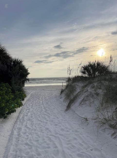 Beach Path 
