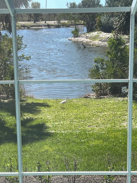 Wildlife viewing from pool and balcony.
