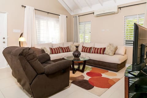 Bright living room w/ plush seating, colorful rug & large windows filling the space w/ natural light