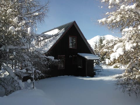 Winter wonderland