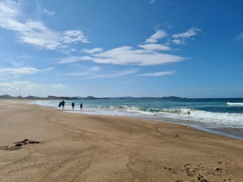 Surf beach at Pataua North