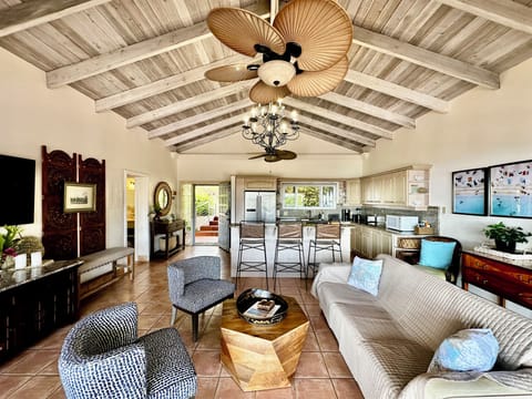 Mandavilla Living room (2)