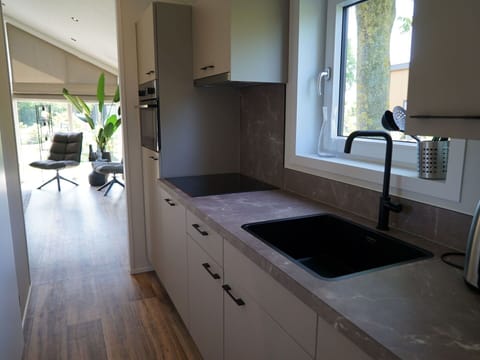 Cabinetry, Kitchen Sink, Window, Countertop, Sink, Interior Design, Floor, Flooring, Wood