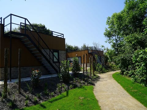 Plant, Sky, Tree, Shade, Grass, Residential Area, Road Surface, Landscape, Groundcover, Facade