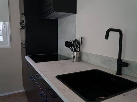 Countertop, Kitchen Sink, Cabinetry, Property, Tap, Sink, Plumbing Fixture, Kitchen, Wood, Interior Design