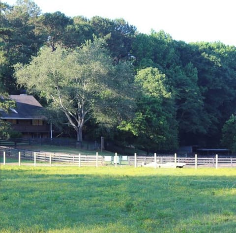 Come relax in our lovely farm setting.