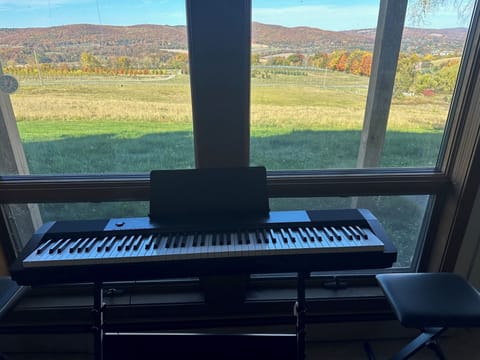 The expansive vista from downstairs family room