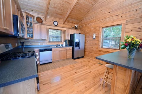 Pet Friendly Mountain View cabin rental in Blue Ridge GA