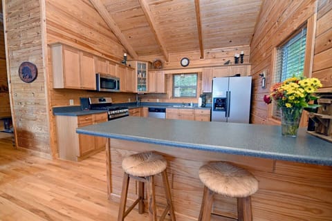 Pet Friendly Mountain View cabin rental in Blue Ridge GA