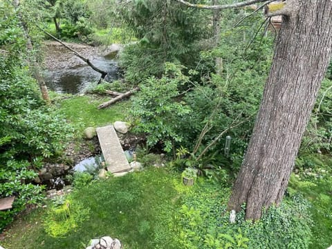 Bird House view of the river and creek