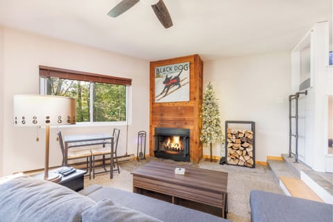 Super cozy living room perfect place to enjoy winter.