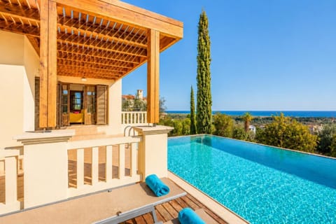 Beautiful villa with private pool and terrace