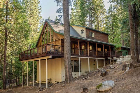 Welcome to the All A-bear-ican Cabin